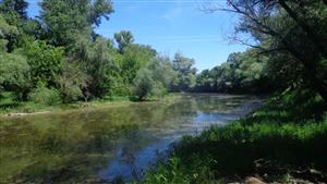 Meander Dolec 