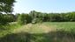 Ďateľ malý (9.5.2025)