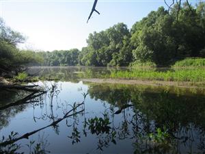 Meander