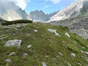 Pohľad na časť TML