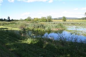 Celkový pohľad na biotop v smere západ
