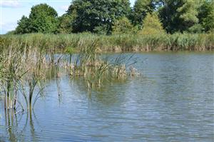 Celkový pohľad na biotop v smere východ