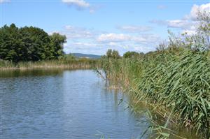 Celkový pohľad na biotop v smere SZ z dreveného móla