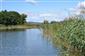 Prirodzené eutrofné a mezotrofné stojaté vody s vegetáciou plávajúcich a /alebo ponorených cievnatých rastlín typu Magnopotamion alebo Hydrocharition