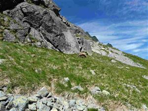 Pohľad na časť TML