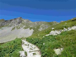 Pohľad na časť TML