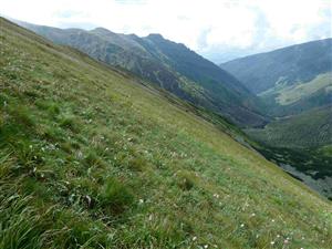 Pohľad na časť TML