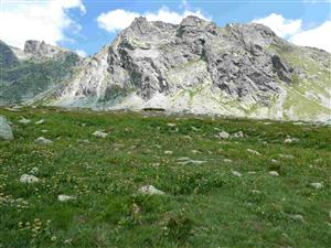 Pohľad na časť TML