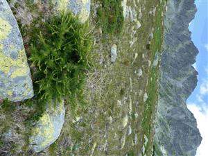 Pohľad na časť TML