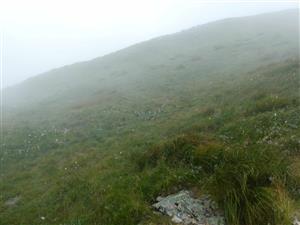 Pohľad na časť TML v hmle