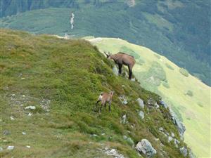 Návštevníci TML pri druhej návšteve lokality
