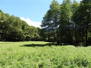 Pohľad na lokalitu TML_CallQuad_005