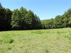 Pohľad na lokalitu TML_CallQuad_005