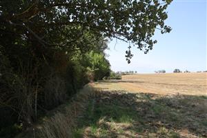 Pohľad na časť TML Maňa, Horná Gedra, Maniansky potok, Hron. pahorkatina. Foto: 6.8.2025.