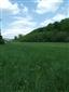 Nížinné a podhorské kosné lúky (15.5.2015)