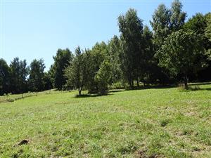 pohľad na TML_MacuTele_019