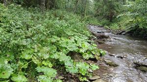 Pohľad na TML - spodná časť