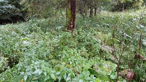 Pohľad na TML - horná časť