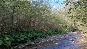 Pohľad na TML - severná časť