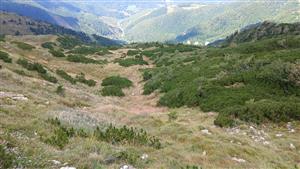 Pohľad na TML zvrchu