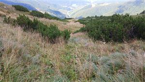 Pohľad na TML - stredná časť