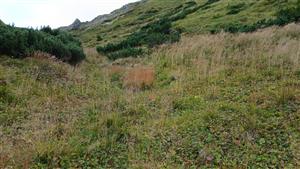 Pohľad na TML - spodná časť