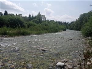 pohľad na TML