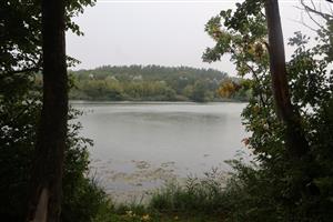 Pohľad na TML Dunaj, Bačianske rameno. Pohľad na hlavné Bačianske rameno. Foto: 10.9.2025, J.Lengyel.