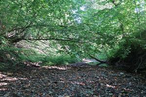 Monitorovaný biotop