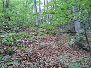 plocha 4x5m