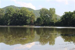pohľad na lokalitu - Revištský rybník,foto: 5.9.2025,foto:D.Vazanová