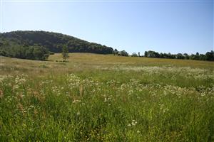 záber na biotop, smer SZ