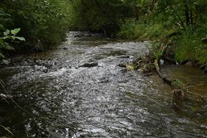 Pohľad na časť TML