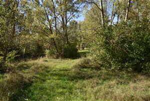 Celkový pohľad na štruktúru porastov monitorovanej lokality v jesennom aspekte.