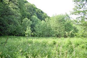 Celkový pohľad na monitorovanú lokalitu.