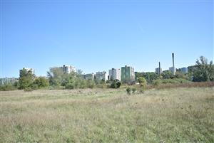 Celkový pohľad na monitorovanú lokalitu v jesennom aspekte.