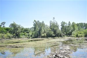 Celkový pohľad na monitorovanú lokalitu.