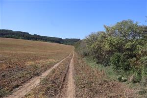 Pohľad na časť TML Salka, časť Benczek, Ipeľ. pahorkatina. Foto: 19.9.2025, J.Lengyel.