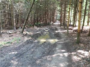 TML_BombVari_007_20250718_001 Mláka na lesnej ceste