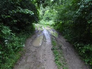 TML_BombVari_006_20250702_001 Mláky na poľnej ceste