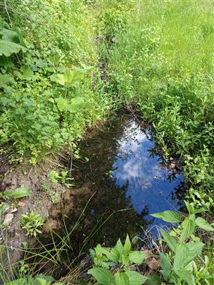 biotop, nedostatok vody