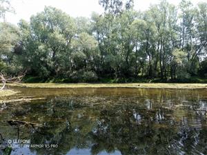 Foto lokality spodný zemník