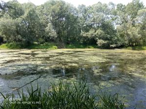 Foto lokality spodný zemník 2