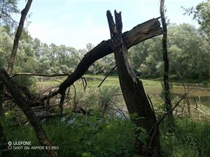Foto lokality vrchný zemník