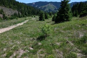 Celkový pohľad na TML