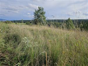 Pohľad na lokalitu, foto ako predchádzajúce mapovanie.