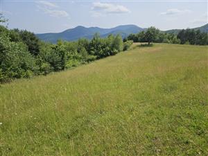 Pohľad na lokalitu, foto ako predchádzajúce mapovanie.