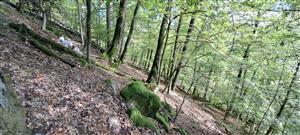 celkový pohľad na TMP JAVRH2