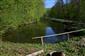 mlok karpatský (30.4.2015)