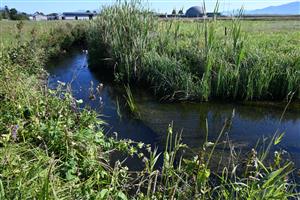 Pohľad na typickejšiu časť TML